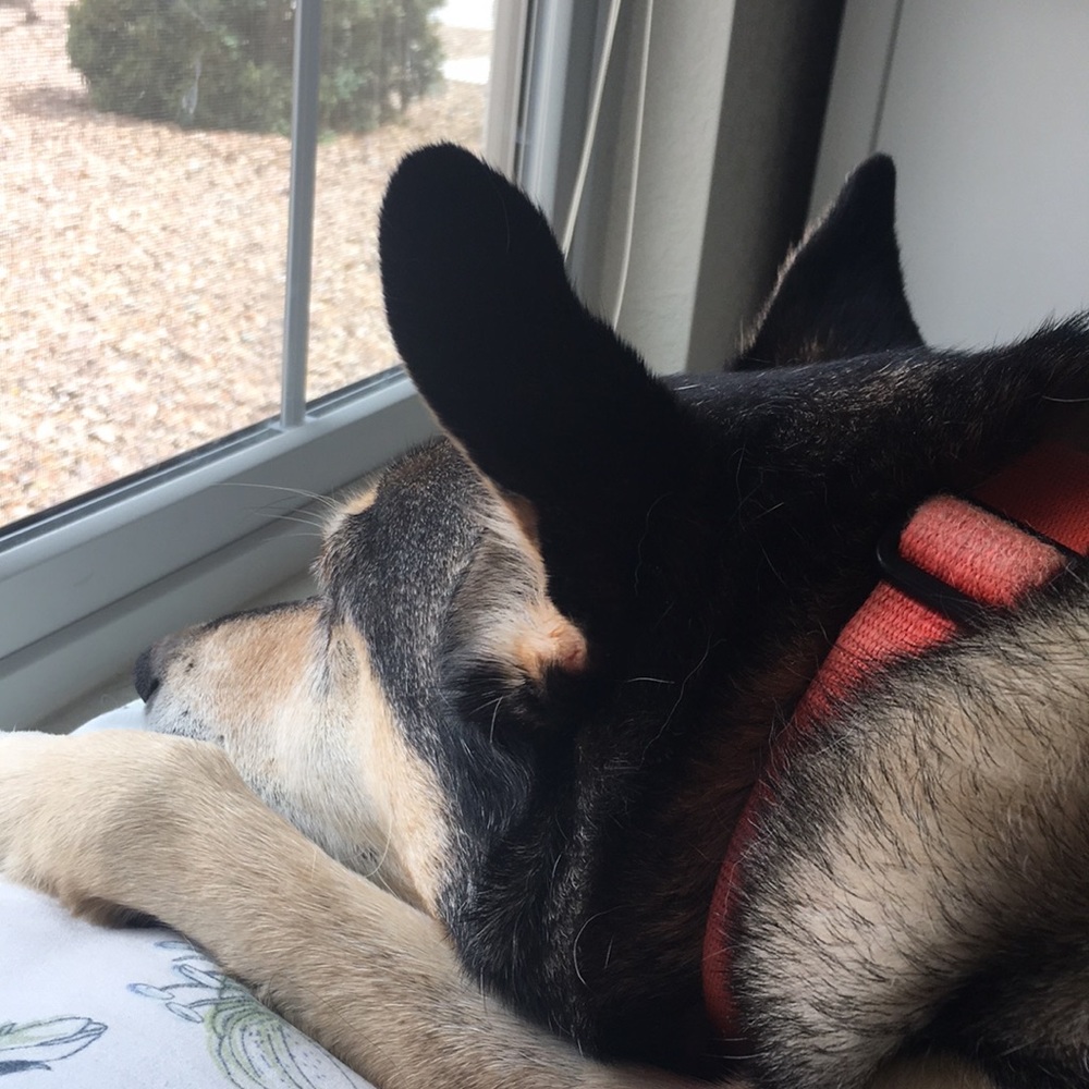 Meet your Posher, Olivia